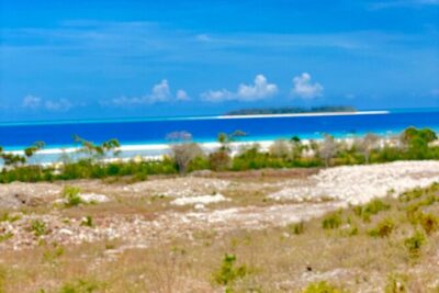 Mnemba island snorkeling tour