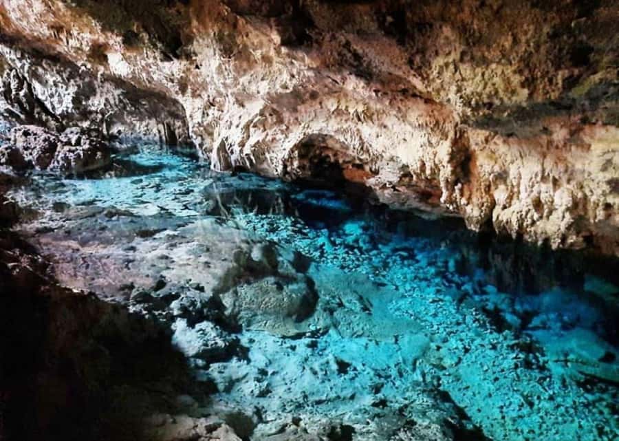 Mnemba Island, Turtle Tour, Kuza Cave, The Rock - Guides and transport can shape the whole day