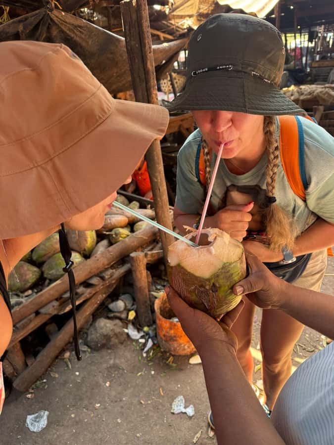 Moshi: Town tour and Local Markets tour - Ending with Tanzanite and community-made crafts