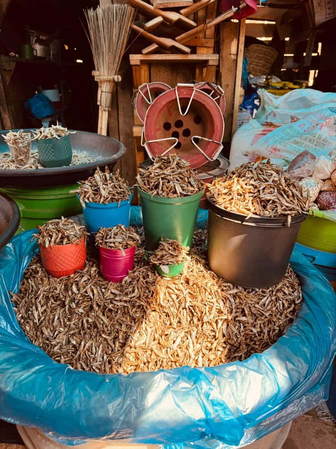 Moshi: Town tour and Local Markets tour - Practical details before you go
