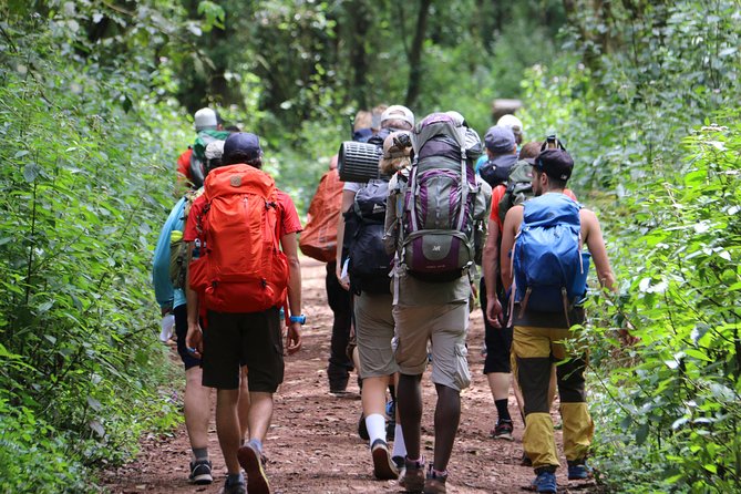 Mount Kilimanjaro Day Hike - Why Mandara Hut makes a good one-day goal