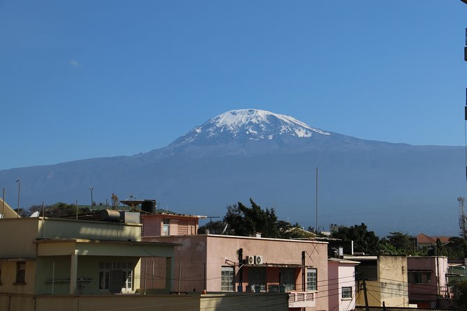 Mount Kilimanjaro Day Hike - The 7:00 am pickup from Arusha