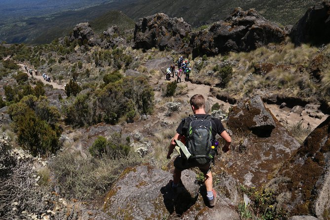 Mount Kilimanjaro Day Hike - Mandara Hut and the picnic lunch