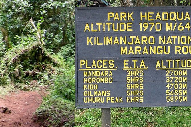 Mount Kilimanjaro Day Hike Through Marangu Route to Mandara Hut - What this one-day Kilimanjaro hike really offers