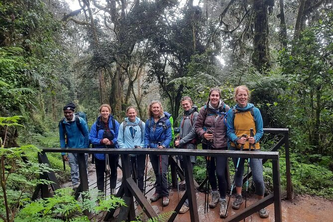 Mount Kilimanjaro Day Hike Through Marangu Route to Mandara Hut - From Marangu Gate into the rainforest