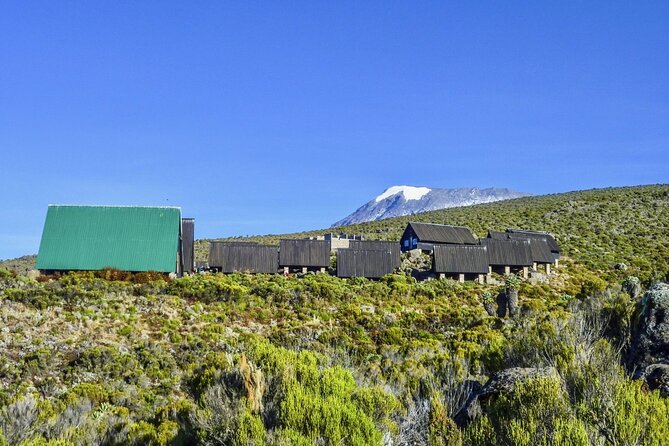 Mount Kilimanjaro Day Hike Through Marangu Route to Mandara Hut - Starting from Arusha at 6:00 a.m.