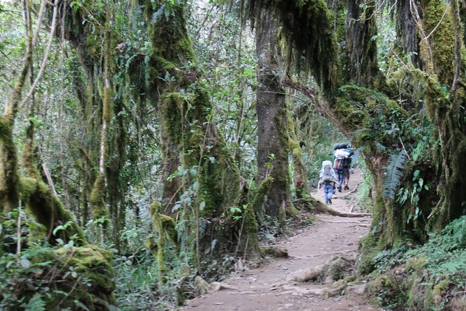 Mount Kilimanjaro Day Hike - Registering at Marangu Gate