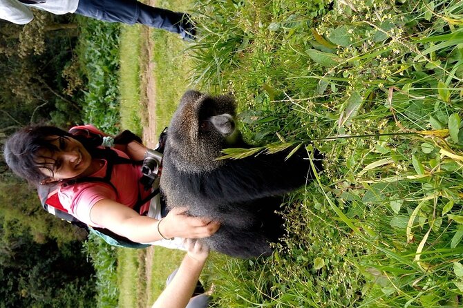 Mountain Kilimanjaro Day Hike - The drive from Arusha or Moshi