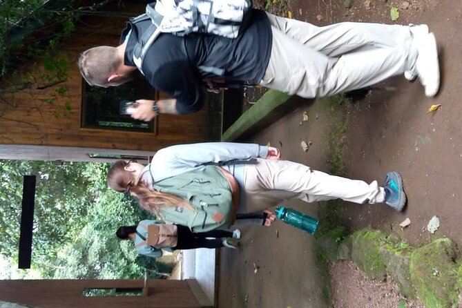 Mountain Kilimanjaro Day Hike - The rainforest trail to Mandara Hut