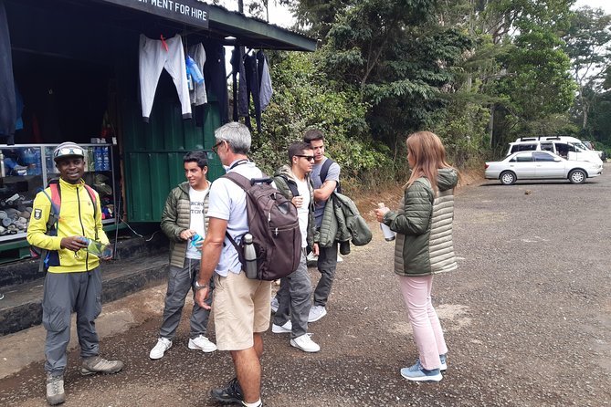 Mountain Kilimanjaro Day Hike - Reaching Mandara Hut