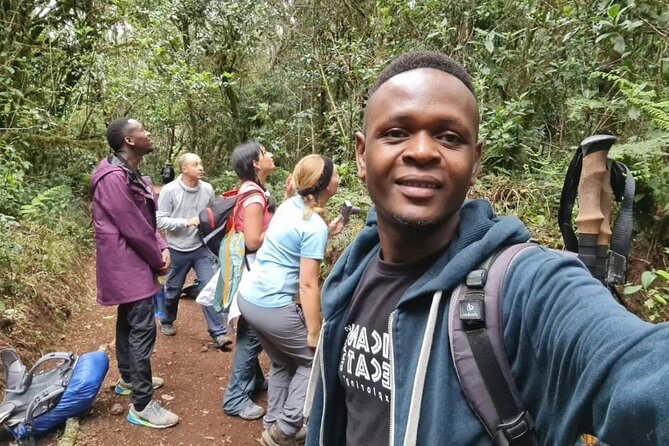 Mountain Kilimanjaro Day Hike - The descent and return drive