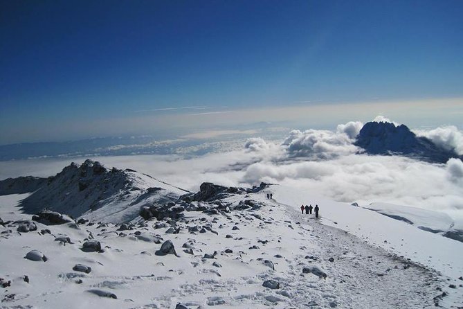 Mt Kilimanjaro Climb - 7 days Machame - Day 3: Lava Tower and the value of sleeping lower