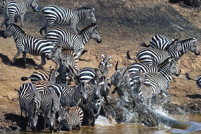 Multi-Day Camping Safari Experience in Arusha - Day 3: A full day among herds, lakes, and predators