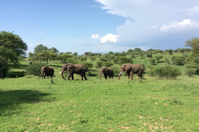 Multi-Day Tanzania Odssey Safari from Arusha - What the $4,164.11 price really covers