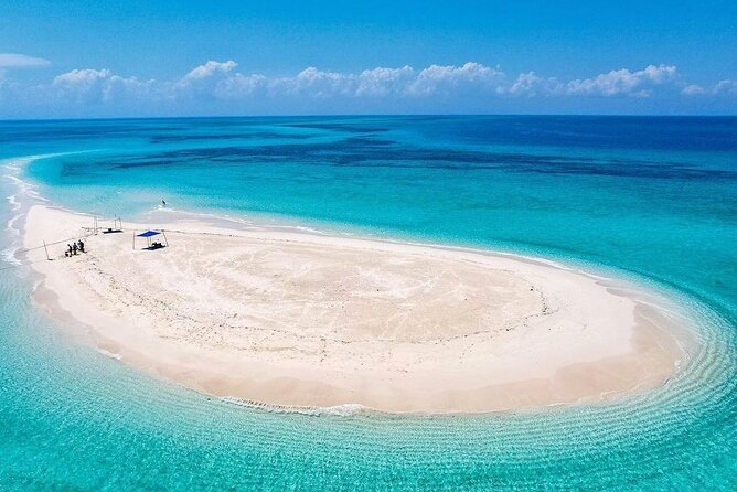 Nakupenda SandBank & Prison Island (Changuu Island) - Is the $250 price good value?