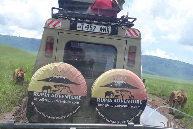Ngorongoro Crater Day Trip - From Arusha to the Crater Rim