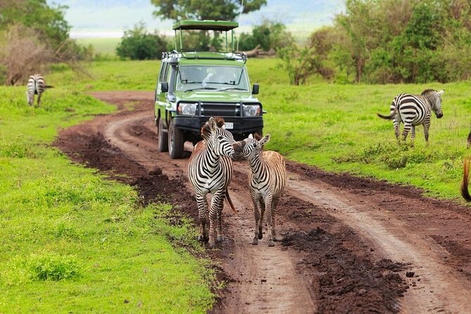 Ngorongoro Crater Day Trip - Is the Ngorongoro Crater Day Trip Worth Booking?
