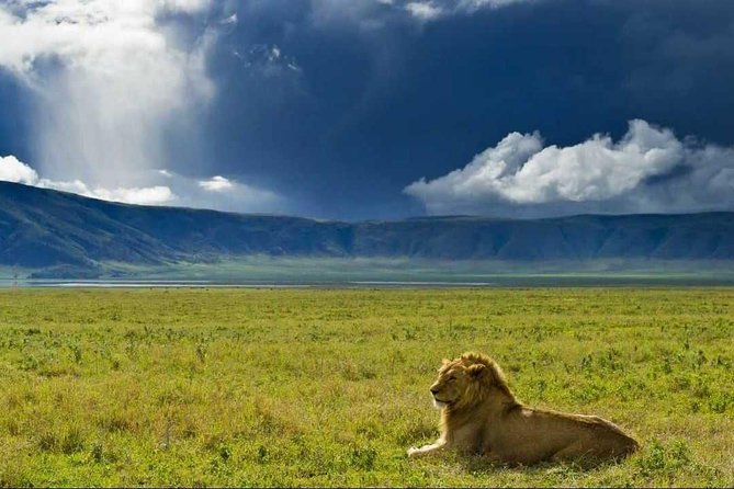 Ngorongoro Crater Day Trip - Seven Hours Inside Ngorongoro Crater