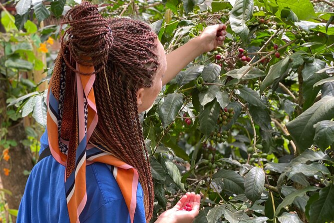 Organic Coffee Tour and Local Food Experience in Arusha - Clay pots, firewood, and Tanzanian home cooking