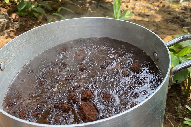 Organic Coffee Tour and Local Food Experience in Arusha - Blue monkeys, birds, and a quiet Mount Meru setting