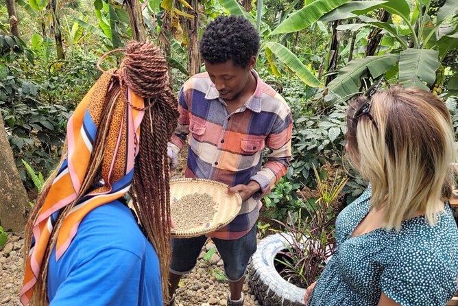 Organic Coffee Tour and Local Food Experience in Arusha - Timing, group size, and the practical details