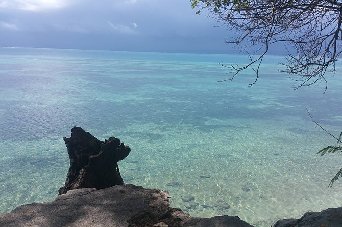 Prison Island Half-Day Tour from Zanzibar - Two or three hours on a very small island