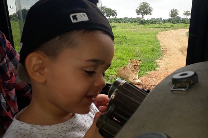 Private 3 Days 2 Nights Mikumi Adventures - Day one: the long road to an evening game drive