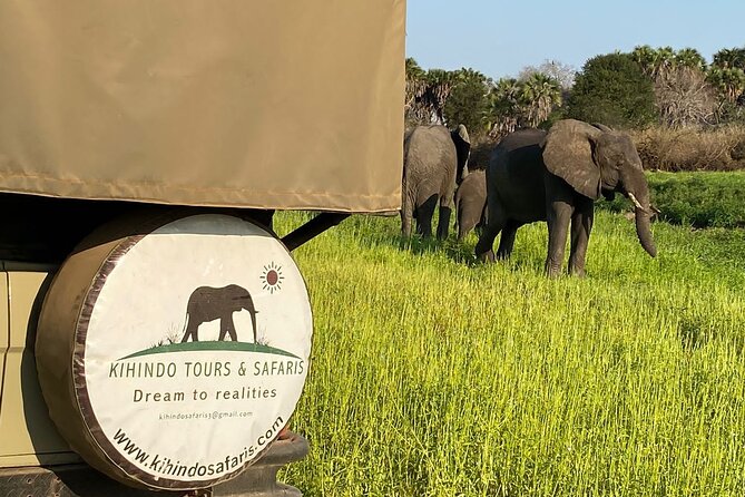 Private 3 Days 2 Nights Mikumi Adventures - Day three: an early return to Dar es Salaam