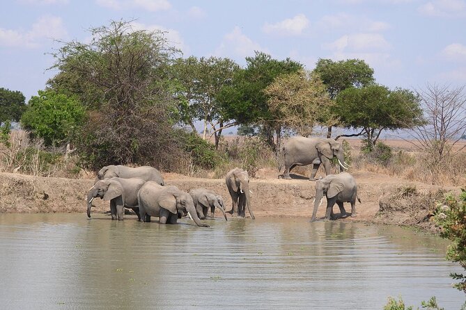 Private 3 Days 2 Nights Mikumi Adventures - Who should book this Mikumi trip?