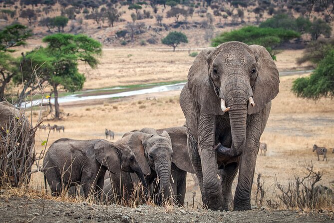 Private 4-Days Northern Circuit National Parks in Tanzania - Accommodation and meals: practical value with some unknowns