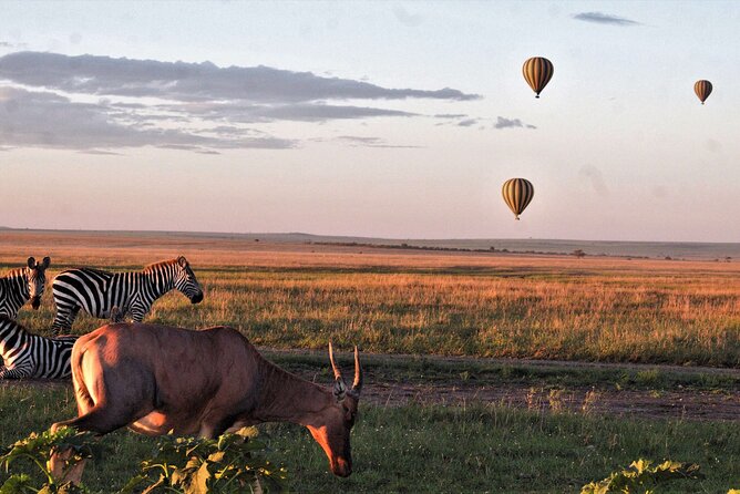 Private 4-Days Northern Circuit National Parks in Tanzania - Who will get the most from this trip