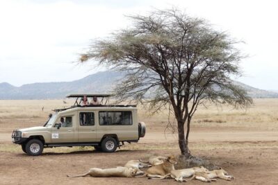 Private 6-Day Tarangire Manyara Crater and Serengeti with Mid-Range Lodges