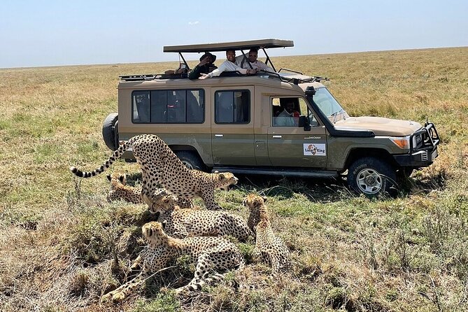 Private 6-Day Tarangire Manyara Crater and Serengeti with Mid-Range Lodges - Day 6: Lake Manyara finishes with forest and birdlife