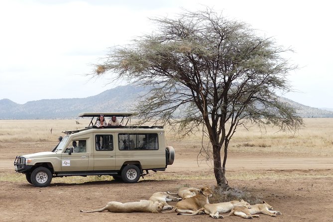Private 6-Day Tarangire Manyara Crater and Serengeti with Mid-Range Lodges - Day 1: Arusha gives you time to settle in