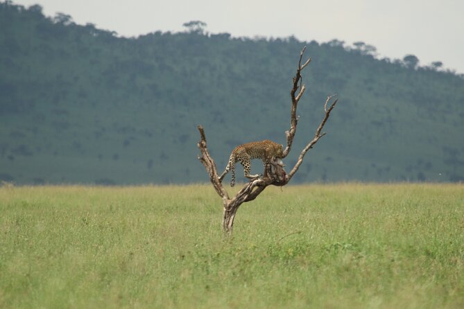 Private 7-Day Tanzania Camping Safari - Six hours on the crater floor