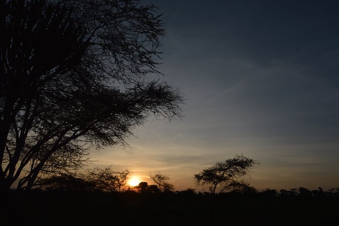 Private 7-Day Tanzania Camping Safari - What camping is likely to feel like