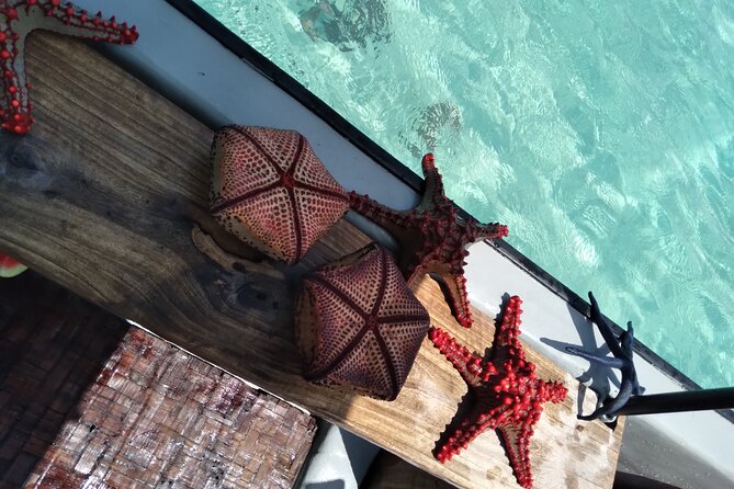 Private Dolphin Tour and Snorkeling at Mnemba Island reef - A three-stop morning in Zanzibar’s northeastern waters