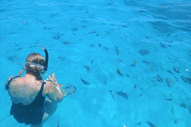 Private Dolphin Tour and Snorkeling at Mnemba Island reef - The sandbank finale