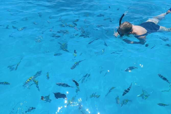 Private Dolphin Tour and Snorkeling at Mnemba Island reef - The human side of the experience