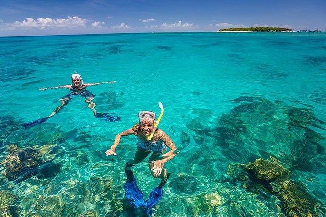 Private Dolphin Tour and Snorkeling at Mnemba Island reef - Who will enjoy this private trip most
