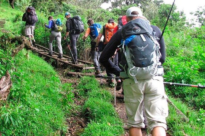 Private Full Day Hiking Experience to Marangu Route - The descent is easier, but your legs will know the difference