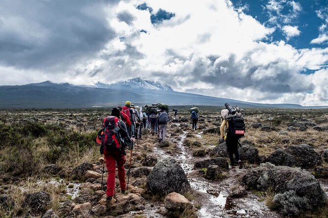 Private Full Day Hiking Experience to Marangu Route - What the private format adds at $260