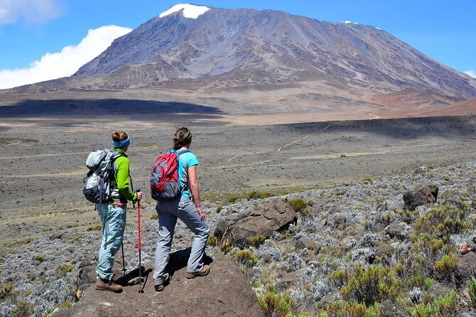 Private Full Day Hiking Experience to Marangu Route - Rainforest scenery, monkeys, and the mountain’s first hut