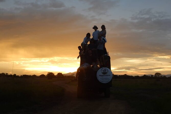 Private Full-Day Trip to Mikumi National Park from Dar es Salaam - Is $550 per person fair value?
