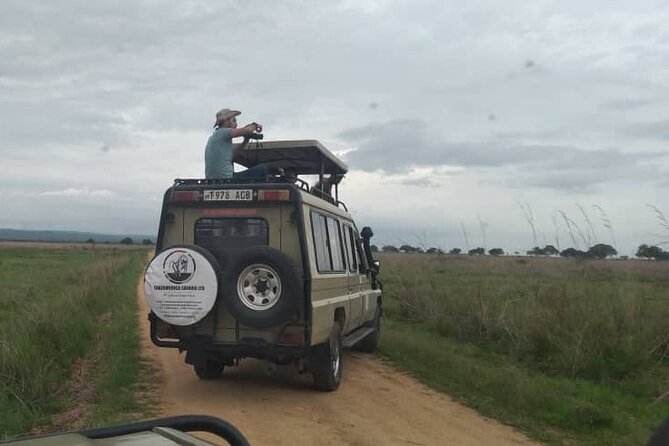 Private Full-Day Trip to Mikumi National Park from Dar es Salaam - Who should book this Mikumi day trip?