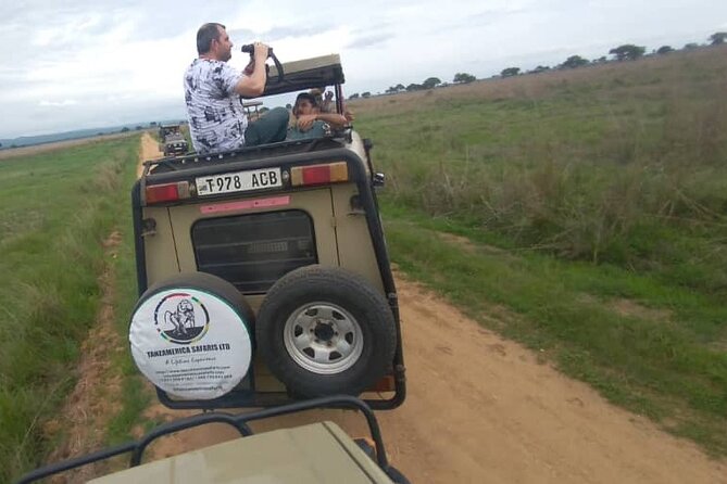 Private Full-Day Trip to Mikumi National Park from Dar es Salaam - Morogoro lunch adds a needed pause