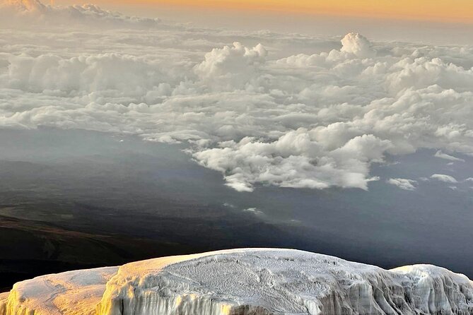 Private Kilimanjaro Hike 7 Day Lemosho Route - Day one: Lemosho Gate to Big Tree Camp