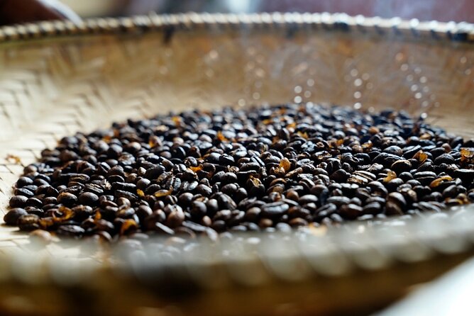 Private Meru Coffee Tour in Nkoaranga - Key points to know before you book