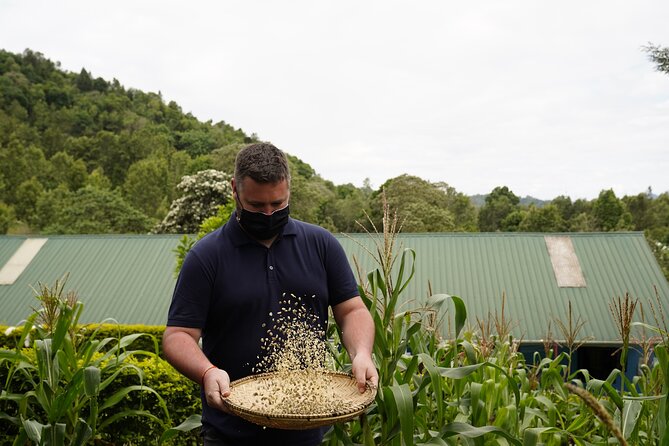 Private Meru Coffee Tour in Nkoaranga - The social purpose adds weight to the $35 price