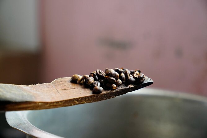 Private Meru Coffee Tour in Nkoaranga - How to plan your time in Nkoaranga